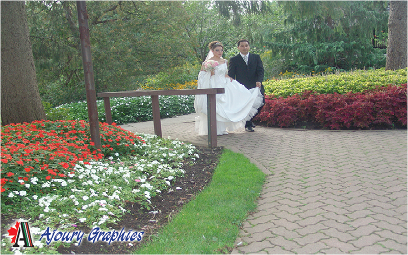 wedding17